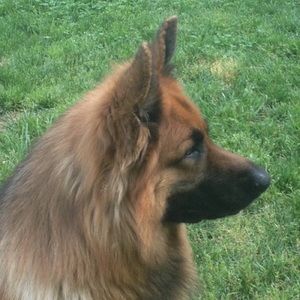 Meet your Posher, Deb